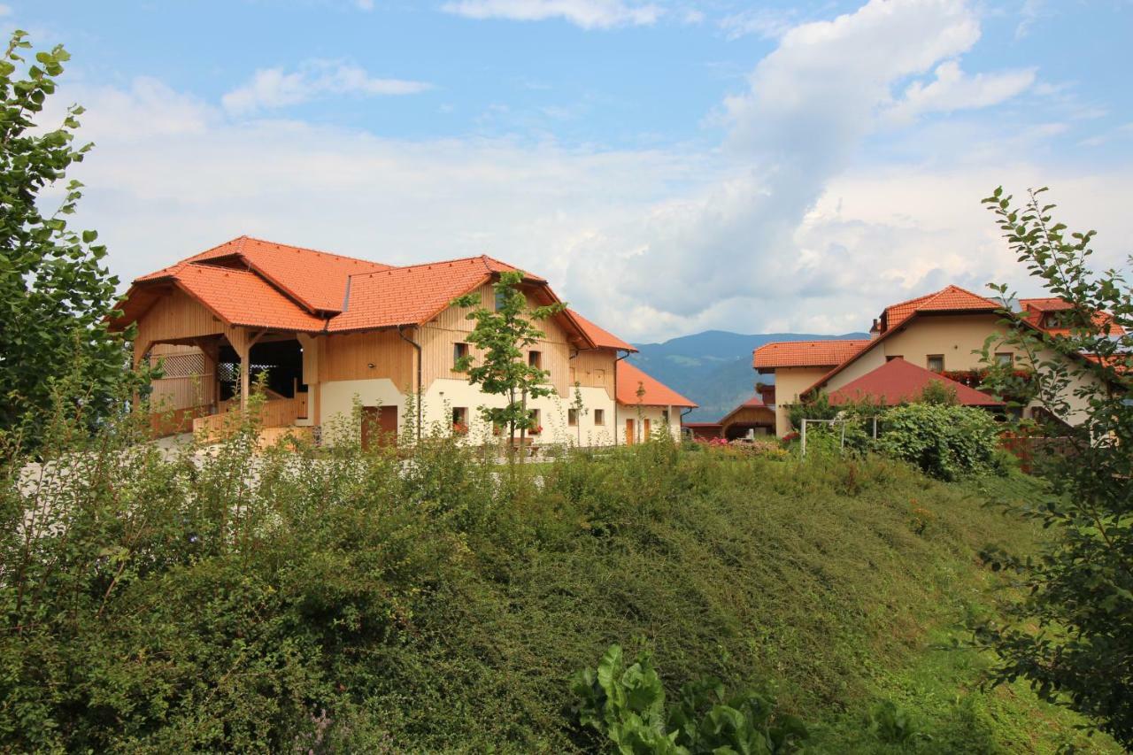 Apartments Organic Tourist Farm Jeglijenk Šentjanž pri Dravogradu 외부 사진